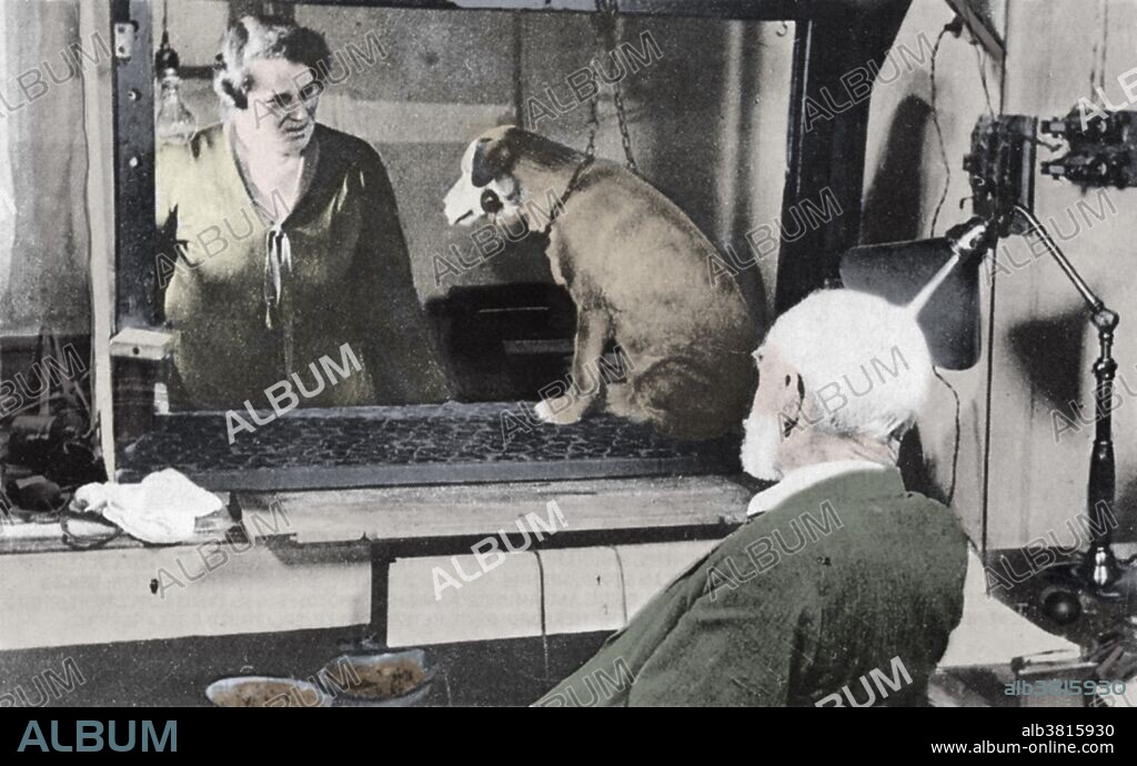 Pavlov observing one of the dogs on which he conducted his behavorist experiments. Ivan Petrovich Pavlov (1849-1936), Russian physiologist and experimental psychologist, who received the 1904 Nobel Prize for his work on the physiology of the digestive glands. He is best remembered for his work on conditioned reflexes, in which he conditioned dogs to salivate in anticipation of food by ringing a bell each meal time. Eventually, the bell alone provoked salivation. These experiments became the foundation of behaviorist psychology. Pavlov asked one of his students to sit beside his bed and to record the circumstances of his dying. He wanted to create unique evidence of subjective experiences of this terminal phase of life. He died of double pneumonia at the age of 86.