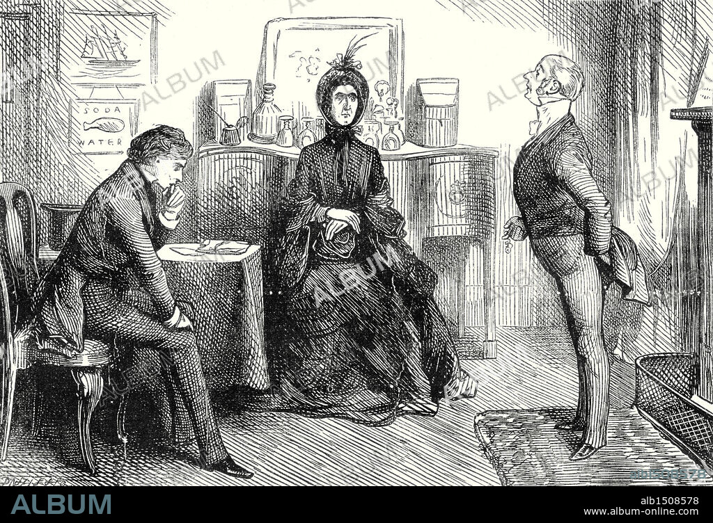 David Copperfield, "You have heard Miss Murdstone," said Mr. Spenlow, turning to me. "I beg to ask, Mr. Copperfield, if you have anything to say in reply?".