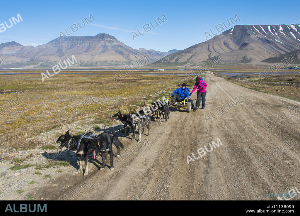 Husky dog sledding on wheels, Svalbard, Longyearbyen, Norway, Scandinavia, Europe.
