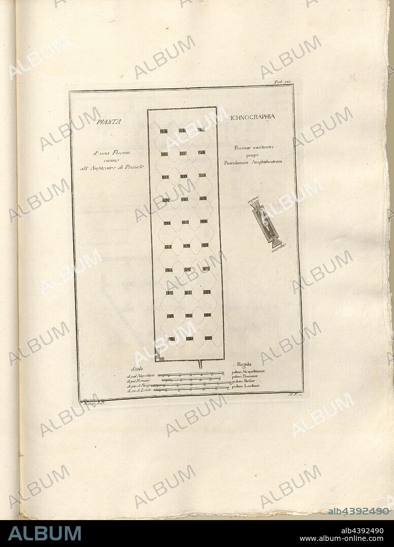Plan of a Pool near the Amphitheater of Pozzuoli, Plan of the ancient water reservoir Piscina Cardito in Pozzuoli, signed: T. Rajola A. D, N.F. in, Tab. XIX, Rajola, Tommaso (del.); Fiorillo, Nicola (sc.), 1768, Paolo Antonius Paoli: Avanzi delle antichita esistenti a Pozzuoli Cuma e Baja. [Neapel]: [s.n.], Anno A.C.N.MDCCLXVIII. [1768].