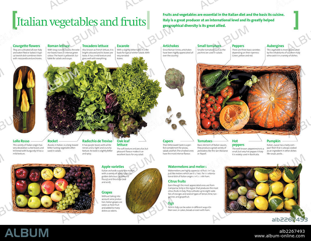 Verduras y frutas italianas. Infografía sobre las variedades de verdura, hortaliza y fruta fresca típicamente italianos.