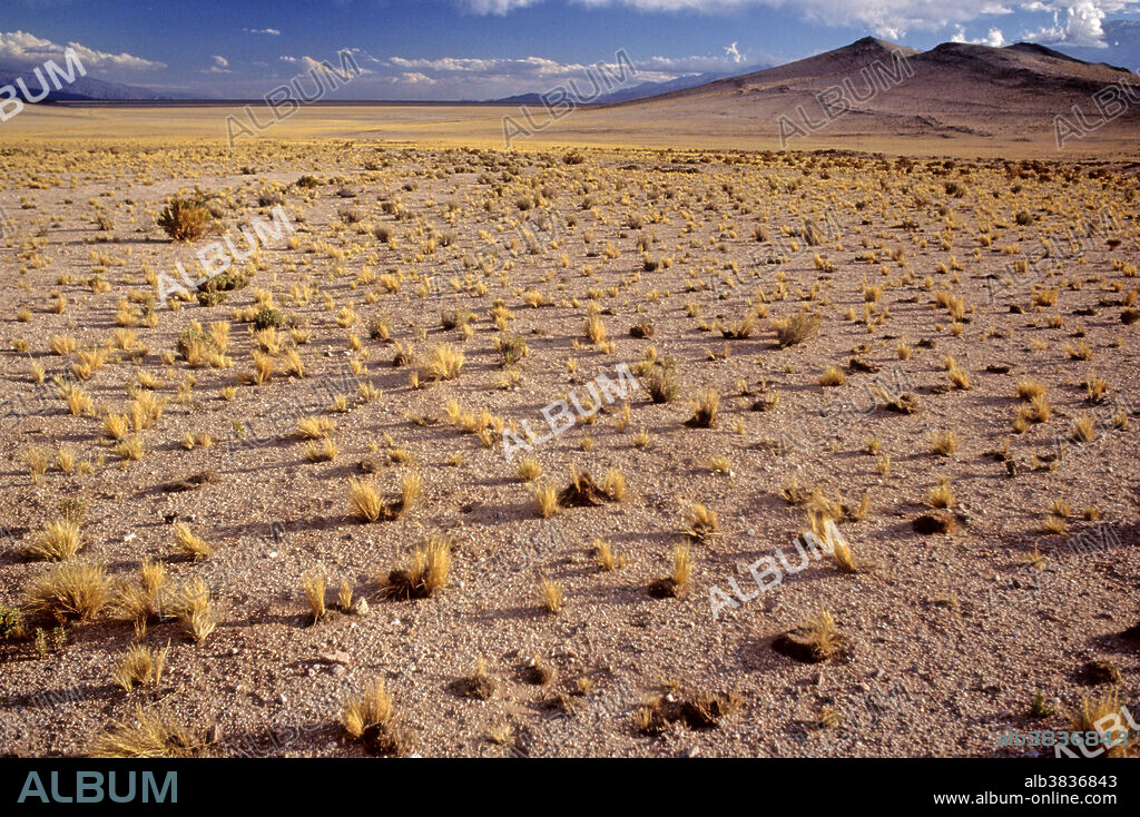 The Altiplano (Puna) in San Guillermo National Park/UNESCO Man and Biosphere Reserve, Argentina.