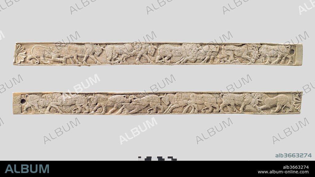 Furniture plaques carved in relief with animal combat. Culture: Assyrian. Dimensions: H. 1 3/4 x W. 21 3/4in. (4.4 x 55.2cm). Date: ca. 8th century B.C..
These long ivory strips were found in a storage room in Fort Shalmaneser, a royal building at Nimrud that was used to store booty and tribute collected by the Assyrians while on military campaign. Since the wooden frame to which the ivory panels were attached had disintegrated, it was not possible to fully reconstruct the piece of furniture to which they belonged. They were probably part of a bed or couch, judging from the large panel associated with them, which is also in the Metropolitan Museum's collection (59.107.1). Both strips show lions attacking bulls, with half a rosette on one end and a flat edge with a dowel hole on the other end. Originally, the two strips were probably connected to form a single strip, with the half-rosettes lined up to join each other. The dowel holes likely aided the attachment of the ivory veneer to a frame. Slight differences in the carving of the strips led the excavator, Max Mallowan, to suggest that they were carved by two different artisans. 
Built by the Assyrian king Ashurnasirpal II, the palaces and storerooms of Nimrud housed thousands of pieces of carved ivory. Most of the ivories served as furniture inlays or small precious objects such as boxes. While some of them were carved in the same style as the large Assyrian reliefs lining the walls of the Northwest Palace, the majority of the ivories display images and styles related to the arts of North Syria and the Phoenician city-states. Phoenician style ivories are distinguished by their use of imagery related to Egyptian art, such as sphinxes and figures wearing pharaonic crowns, and the use of elaborate carving techniques such as openwork and colored glass inlay. North Syrian style ivories tend to depict stockier figures in more dynamic compositions, carved as solid plaques with fewer added decorative elements. However, some pieces do not fit easily into any of these three styles. Most of the ivories were probably collected by the Assyrian kings as tribute from vassal states, and as booty from conquered enemies, while some may have been manufactured in workshops at Nimrud. The ivory tusks that provided the raw material for these objects were almost certainly from African elephants, imported from lands south of Egypt, although elephants did inhabit several river valleys in Syria until they were hunted to extinction by the end of the eighth century B.C.