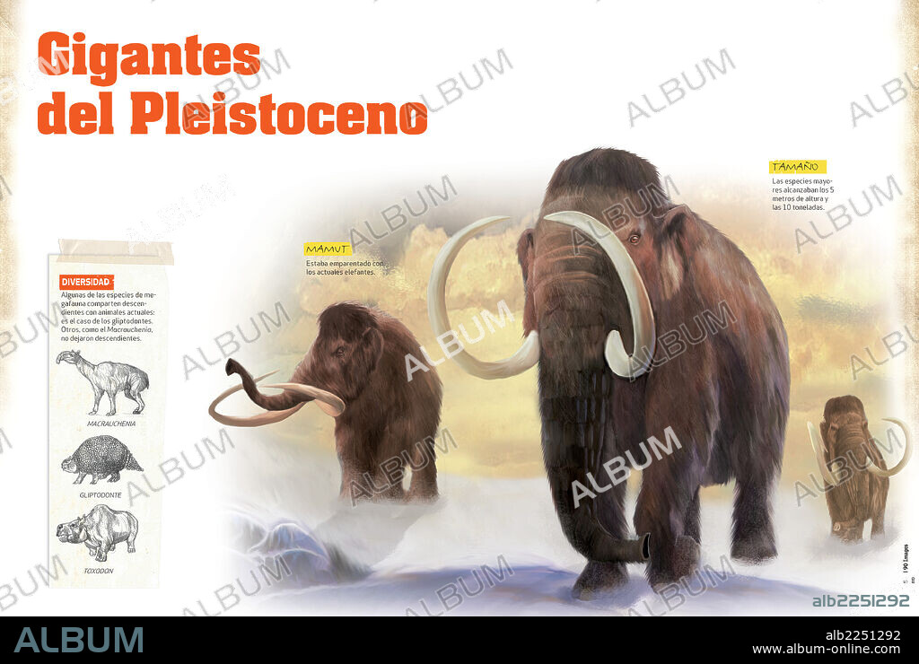 Gigantes del Pleistoceno. Infografía sobre la megafauna que apareció en el Pleistoceno de la era Cenozoica.