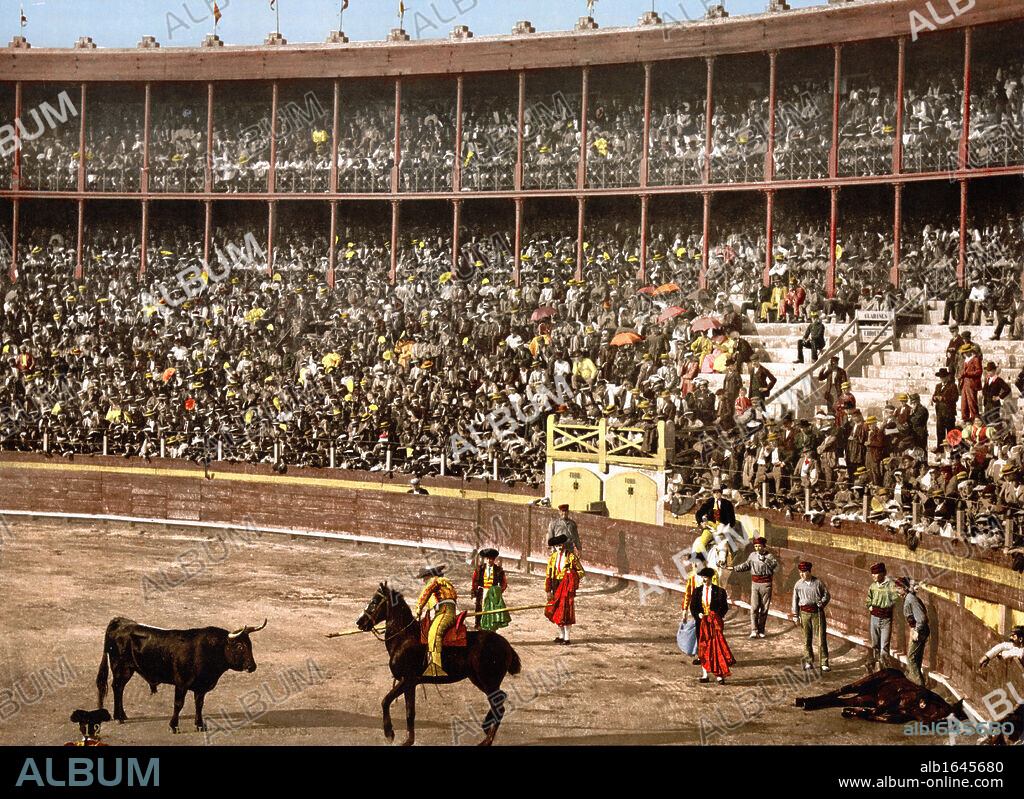 Bull Fight, Barcelona, Spain, Late 19th/early 20th century. A Picador is confronting the bull. A dead horse, gored by the bull, lies in right corner. Stadium Arena Spectator Tradition Blood Sport Tradition Ceremony Photochrome.