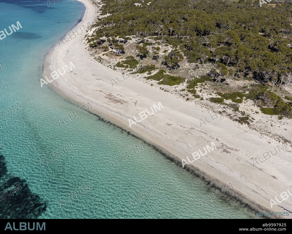 Es Carbo beach, Virgin sand beach without people, Ses Salines, Mallorca, Balearic Islands, Spain.