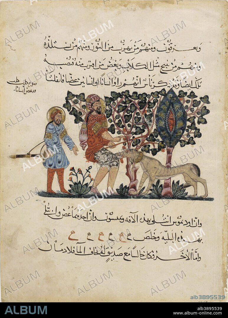 PEDANIUS DIOSCORIDES. Folio from an Arabic translation of the Materia Medica by Dioscorides. Date/Period: 1224. Watercolor painting / manuscript. Opaque watercolor, ink and gold on paper. Height: 33.2 cm (13 in); Width: 25 cm (9.8 in).