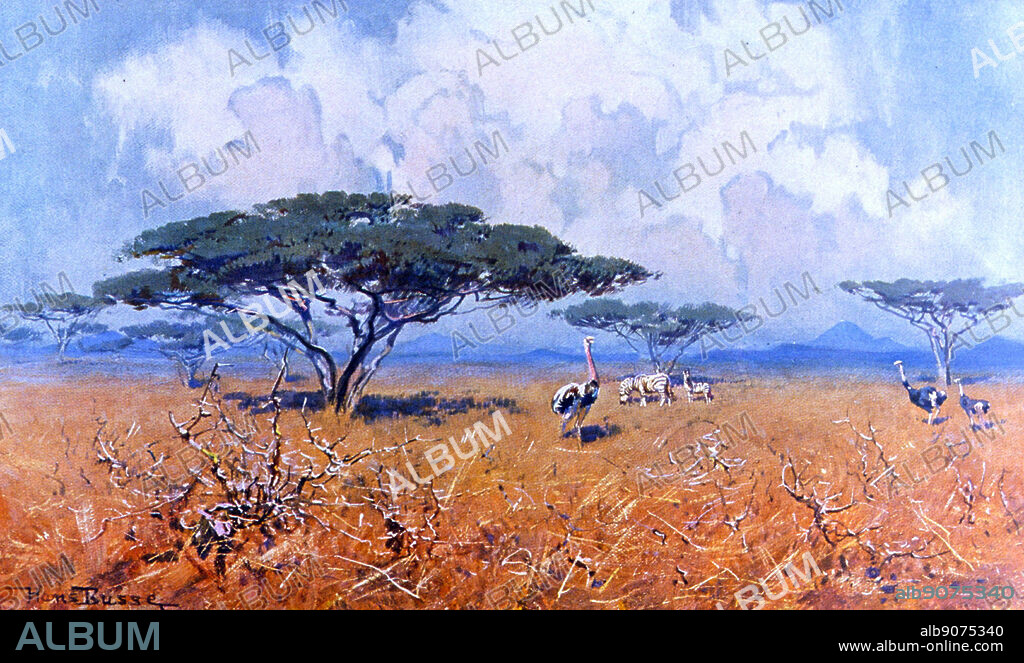 Painting titled 'Steppes of German East Africa with ostriches' from 'Das Deutsche Kolonialreich,' by Hans Meyer. Dated 20th Century.