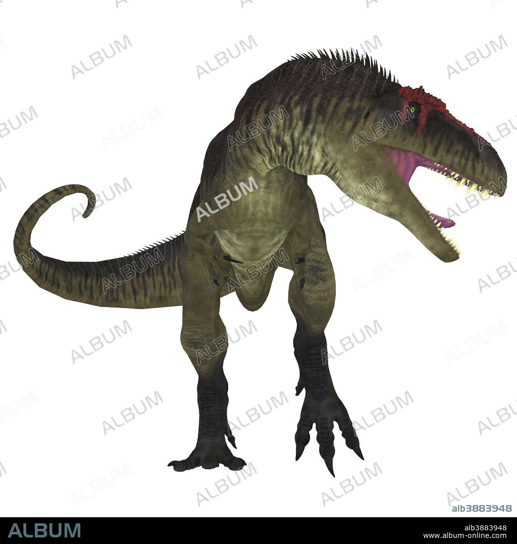 Tyrannotitan dinosaur. Tyrannotitan was a carnivorous theropod dinosaur the lived in Argentina in the Cretaceous Period.