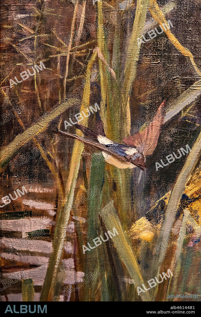 "The Lady of Shalott", 1888 by John William Waterhouse (1849 - 1917); oil painting on canvas. The subject is based on the poem by Alfred Tennyson of the same name. Detail of a bird.