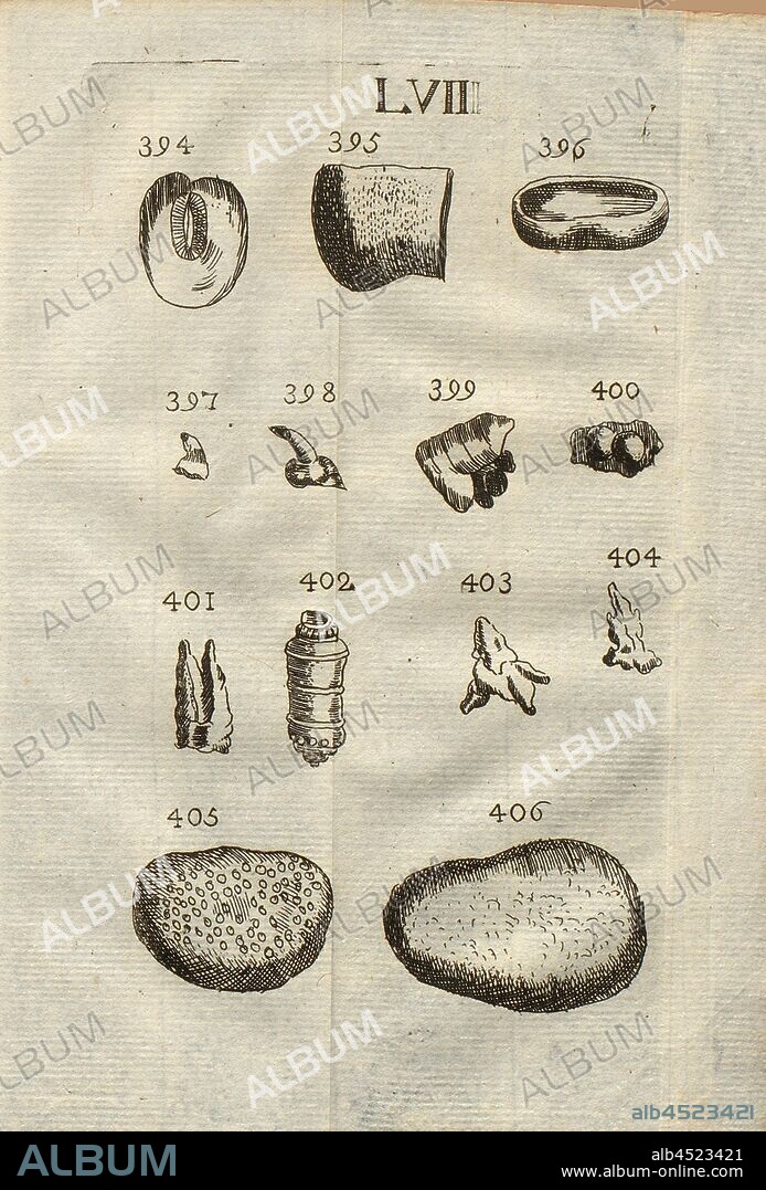 Hysteroliths, teeth of various species of fish, dentato, echinid ossicles, echinid bones, hammitae, class IV, LVII, Fig. 394 Hysterolithe de M. Lang, Fig. 395: Fragment d'un os de poisson, Fig. 396: Dent concave du poisson que les Napolitains appellent Dentato, Figs. 397 & 398: Osselets d'Echinites, fig, 399 & 400: Pétrifications de figure bizarre, Fig. 401: Os d'Echinite, Fig. 402: Rayon d'Echinite couronne, Fig. 403 & 404: Petits os d'Echinite, Figs. 405 & 406: Amas de petits, oeufs de poisson pétrifiés, appellés aussi Hammitae, pl. LVII, after p. 312, 1778, Louis Bourget: Traité des pétrifications. Paris: Jombert, 1778.