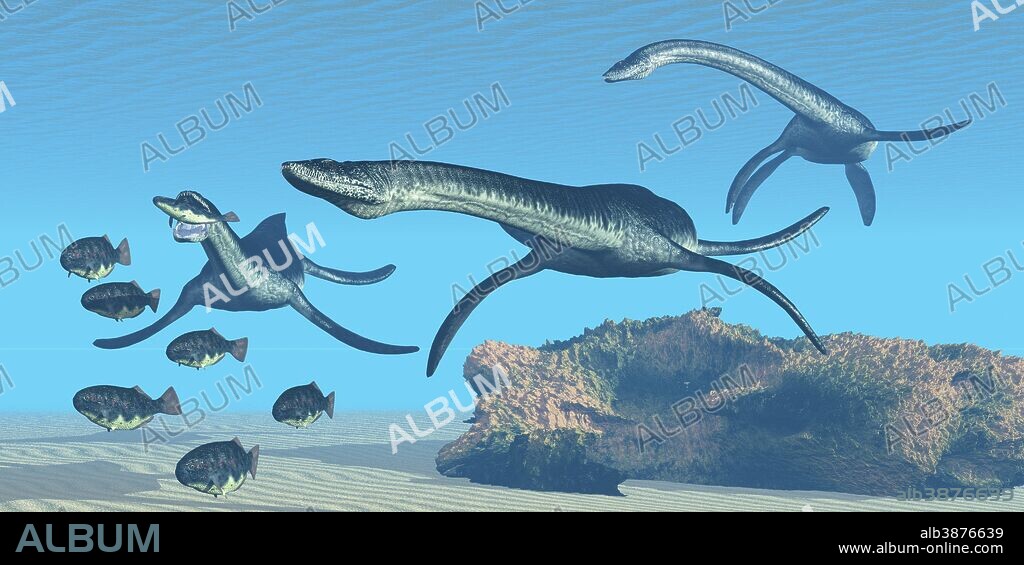 A pack of Plesiosaurus dinosaurs hunt a school of Dapedius fish in prehistoric seas.