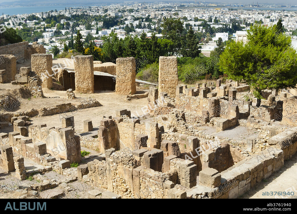 Byrsa Hill, Punic site at Carthage, UNESCO World Heritage Site, Tunis, Tunisia, North Africa, Africa.