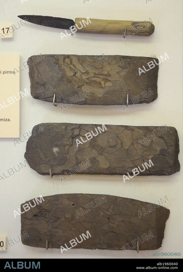 ARTE. EDAD MEDIA. LETONIA. EUROPA. Utensilios de pesca. Siglos XII-XIII. Cuchillo y cortezas de pino tratadas. Museo de la Historia y la Navegación. Riga. Letonia.