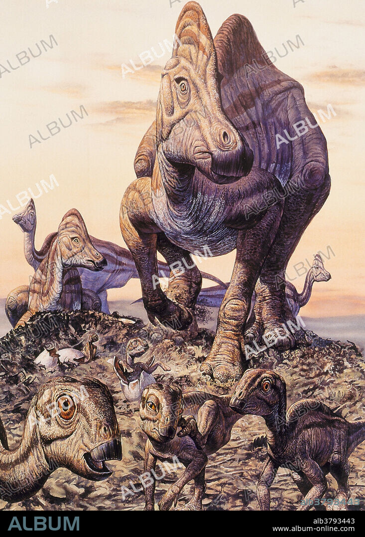Hypacrosaurus, a duckbilled dinosaur, and nestlings. From the Cretaceous era of North America.