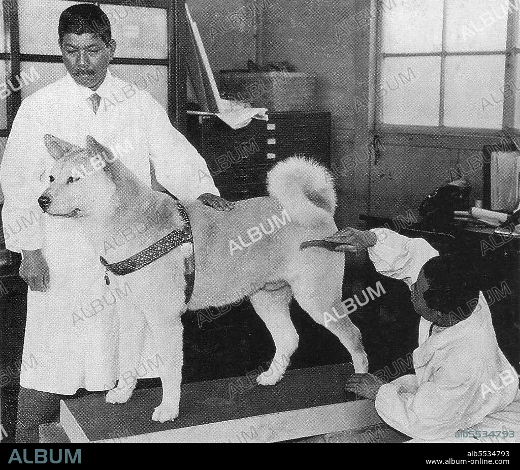 Japan: Chuken Hachiko (?????) 'Faithful dog Hachiko' at the