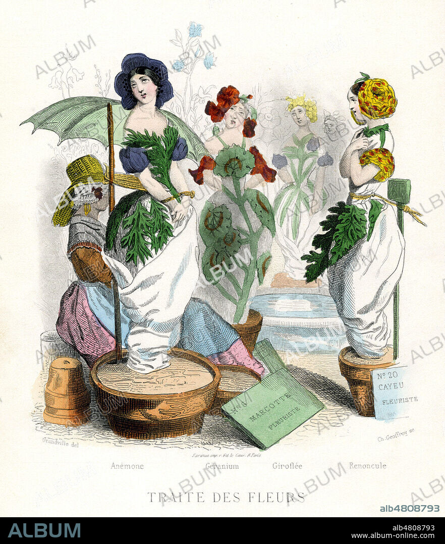 Traite des fleurs (esclavage des fleurs en pot). Illustration de GRANDVILLE (1803-1847) pour Les Fleurs animees de Taxile DELORD (1815-1877). (Edition de 1867-La 1ere edition date de 1847). Credit : Collection Jonas/Kharbine-Tapabor.
