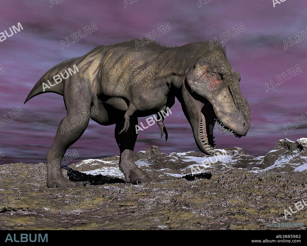 Aggressive Tyrannosaurus Rex dinosaur walking in the desert on a cloudy winter day with its mouth open showing his teeth.