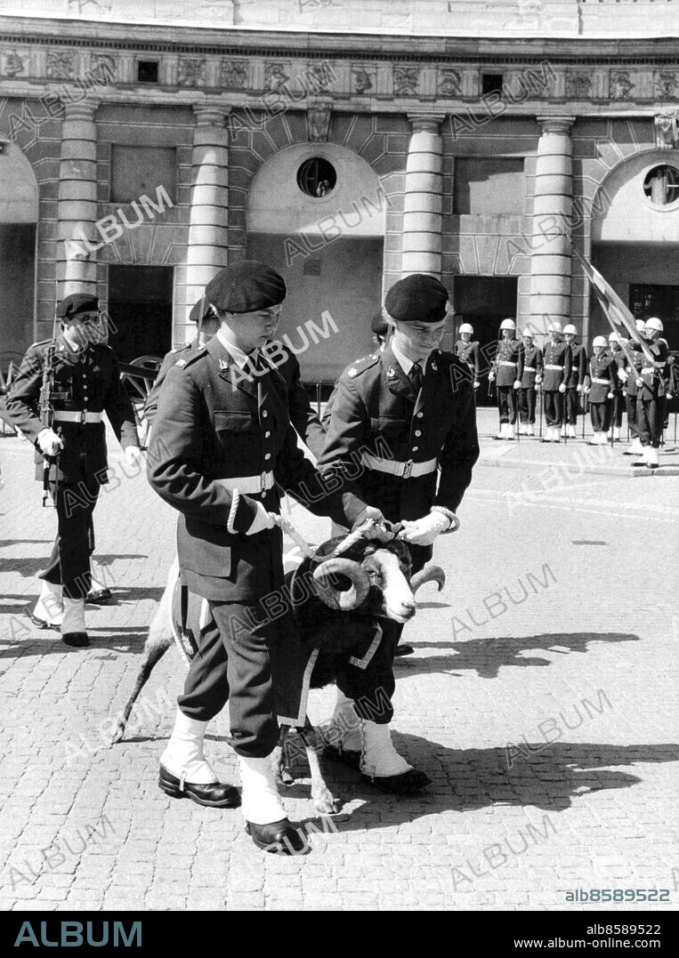 Stockholm 1983-07-20. Gutebaggen Harald, maskot till Gotlands regemente (P 18), går sin fjärde högvakt. Han har furirs rang och tas om hand av befälseleverna Peter Engström och Joakim Flodin. Foto: Magnus Pehrsson / SvD / TT / kod 12014.