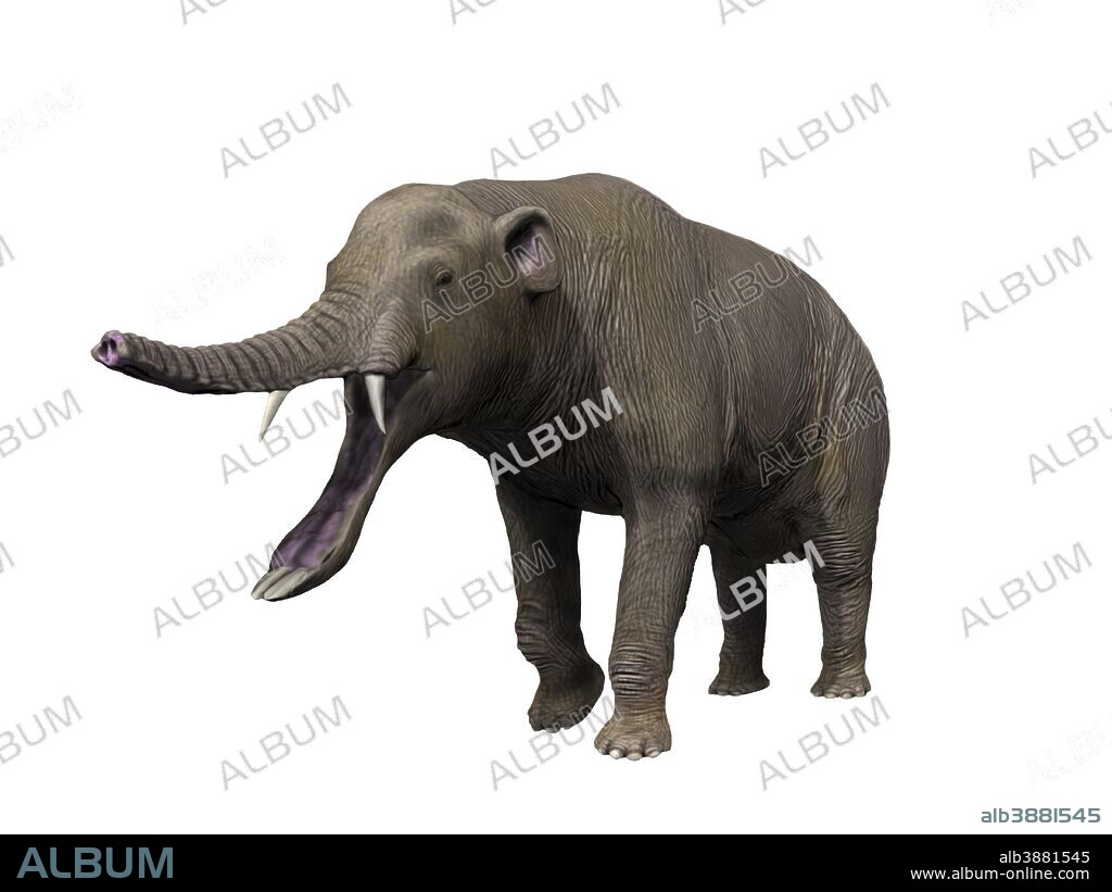 Platybelodon grangeri is a large Proboscidea from the Late Miocene epoch of Mongolia.