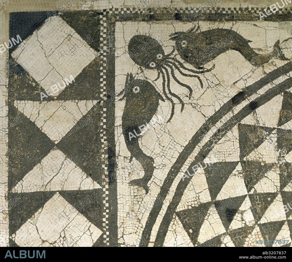 Roman mosaic of marine scenes. Fish and octopus. Black and white. Llado House, From Badalona. 1st-2nd century AD. Archaeological Museum of Catalonia, Barcelona, Spain.