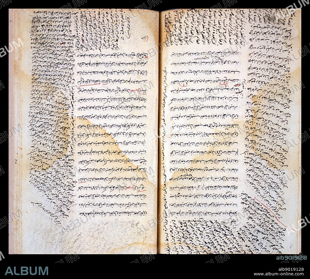The central text consists of the anatomical sections of the Canon of Medicine by Ibn S?n? (Avicenna). In the margins are lengthy quotations from the commentary on the anatomy of the Canon that was written by Ibn al-Naf?s (d. 1288/678 H).