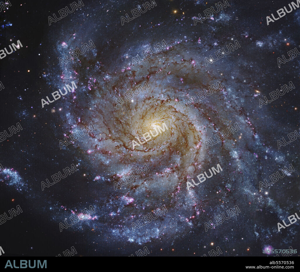 Messier 101, The Pinwheel Galaxy in Ursa Major.