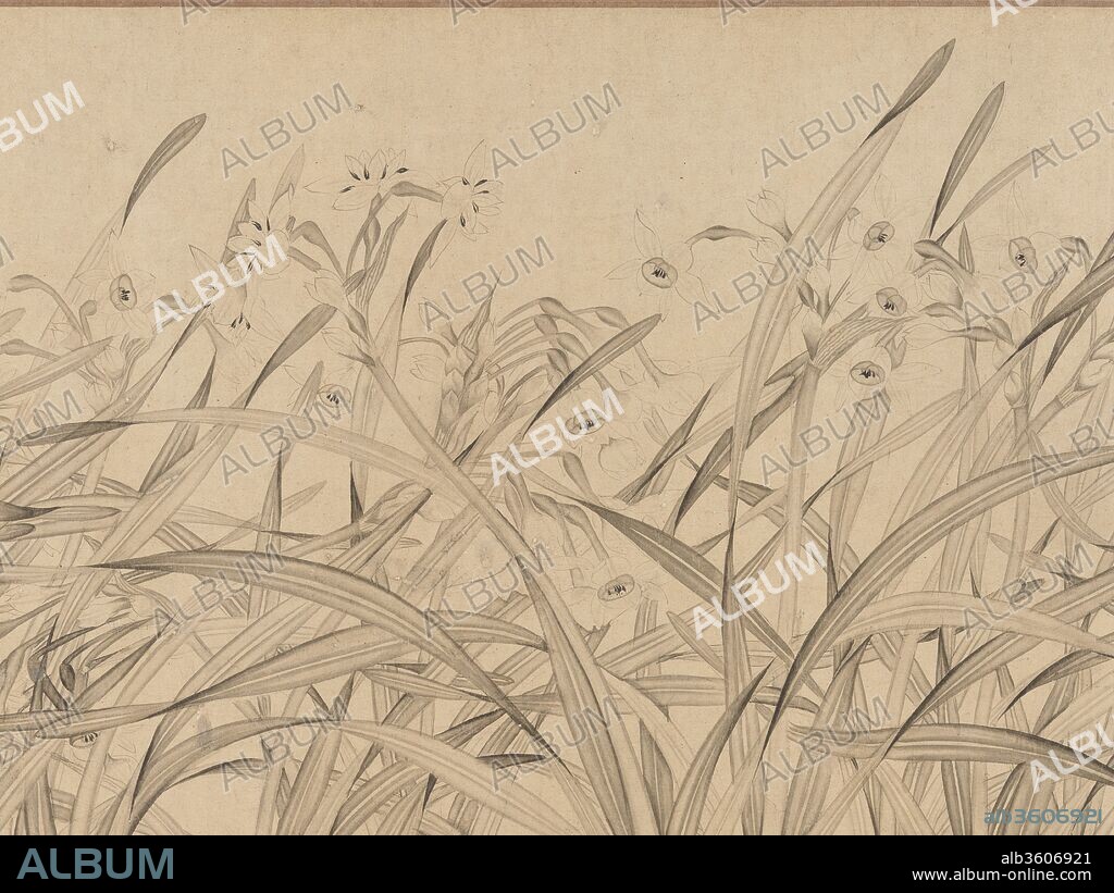 Narcissus. Artist: Zhao Mengjian (Chinese, 1199-before 1267). Culture: China. Dimensions: Image: 13 1/16 in. × 12 ft. 3 1/4 in. (33.2 × 374 cm)
Overall with mounting: 13 7/16 in. × 32 ft. 7 3/16 in. (34.1 × 993.6 cm). Date: mid-13th century.
Zhao Mengjian, a member of the Song imperial family and an accomplished scholar and calligrapher, specialized in painting narcissi and raised the flower to the level of the orchid in the esteem of scholars. Offering the promise of spring, the narcissus is known in Chinese as the "water goddess" (shuixian) or the "goddess who stands above the waves" (lingbo xianzi). The fragrant blossoms are associated with the two goddesses of the Xiang River and, by extension, with Qu Yuan (343-277 b.c.), author of Li Sao (On Encountering Sorrow). Qu Yuan, a loyal minister of the state of Chu, drowned himself in a tributary of the Xiang River after failing to alert his prince of the imminent danger threatening the state.
In a poem appended to the scroll after the Mongol conquest, the Song loyalist Qiu Yuan (1247-after 1327) describes Zhao's narcissi as the only vision of life in an otherwise devastated land:
The shiny bronze dish is upset, 
and the immortals' dew spilled;
The bright jade cup is smashed, 
like broken coral.
I pity the narcissus for not being 
the orchid.
Which at least had known the 
sober minister from Chu.