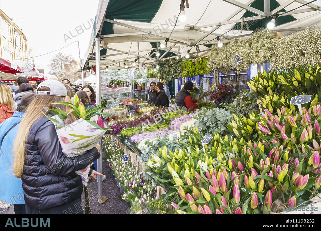 Columbia Road Flower Market, a very popular Sunday market between Hoxton and Bethnal Green in East London, London, England, United Kingdom, Europe.