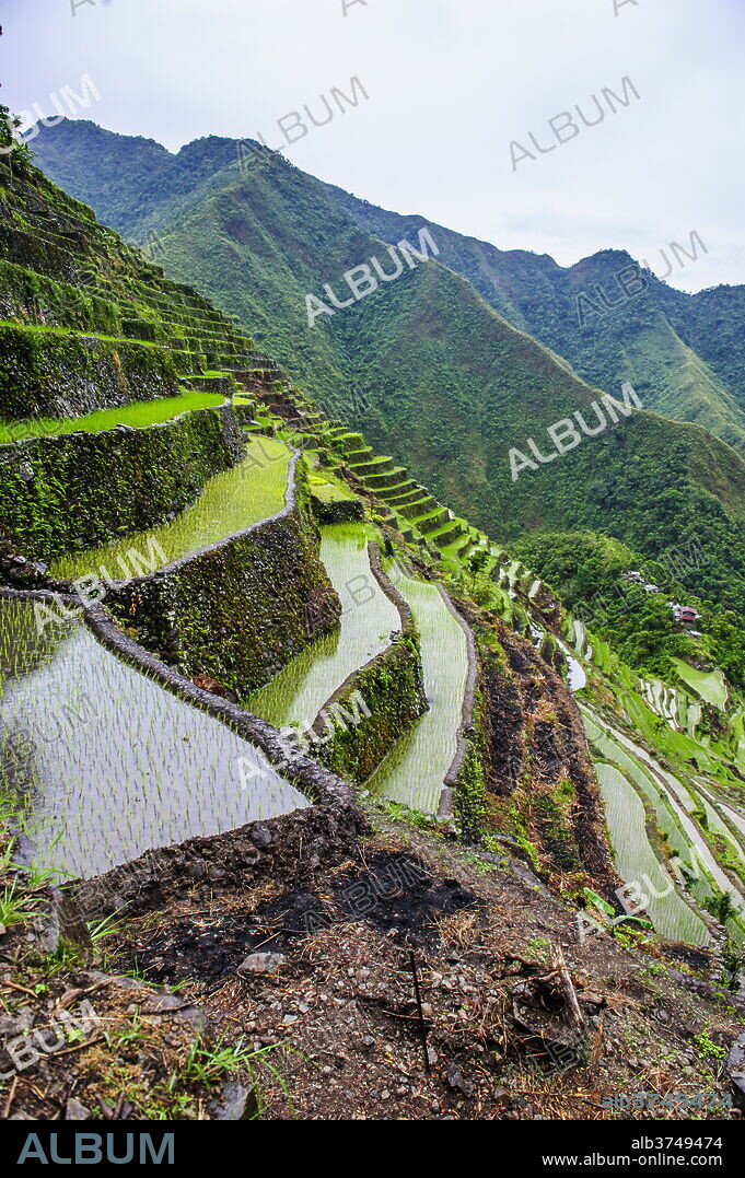 Batad rice terraces, part of the UNESCO World Heritage Site of Banaue, Luzon, Philippines, Southeast Asia, Asia.