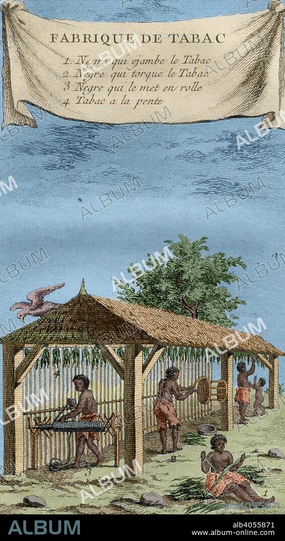 Fábrica de tabaco. Distintos procesos efectuados por esclavos negros para la elaboración de tabaco en Las Antillas. Grabado francés de 1759. Coloreado.