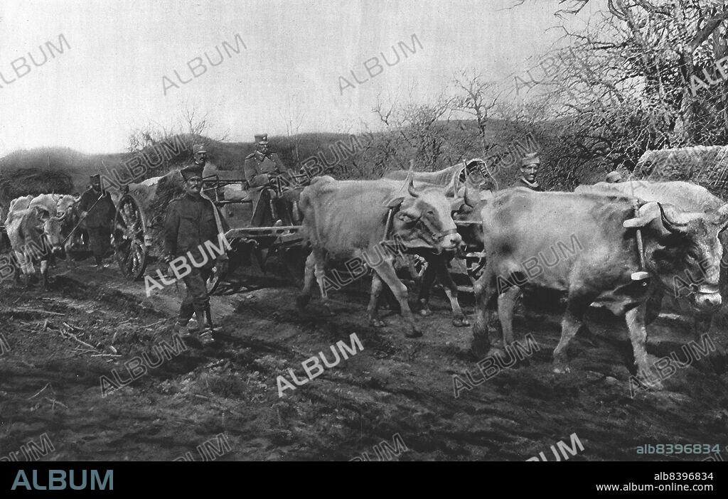 VLADIMIR BETZITCH. 'La Tragedie Serbe; Pierre 1er Karageorgevitch quittante le territoirede la Vieille-Serbie sur un caisson traine par un attelage de boeufs', 1916. From "Collection de la Guerre IV. L'Illustration Tome CXLVII. La Guerre Janvier, Fevrier, Mars, Avril, Mai, Juin 1916".