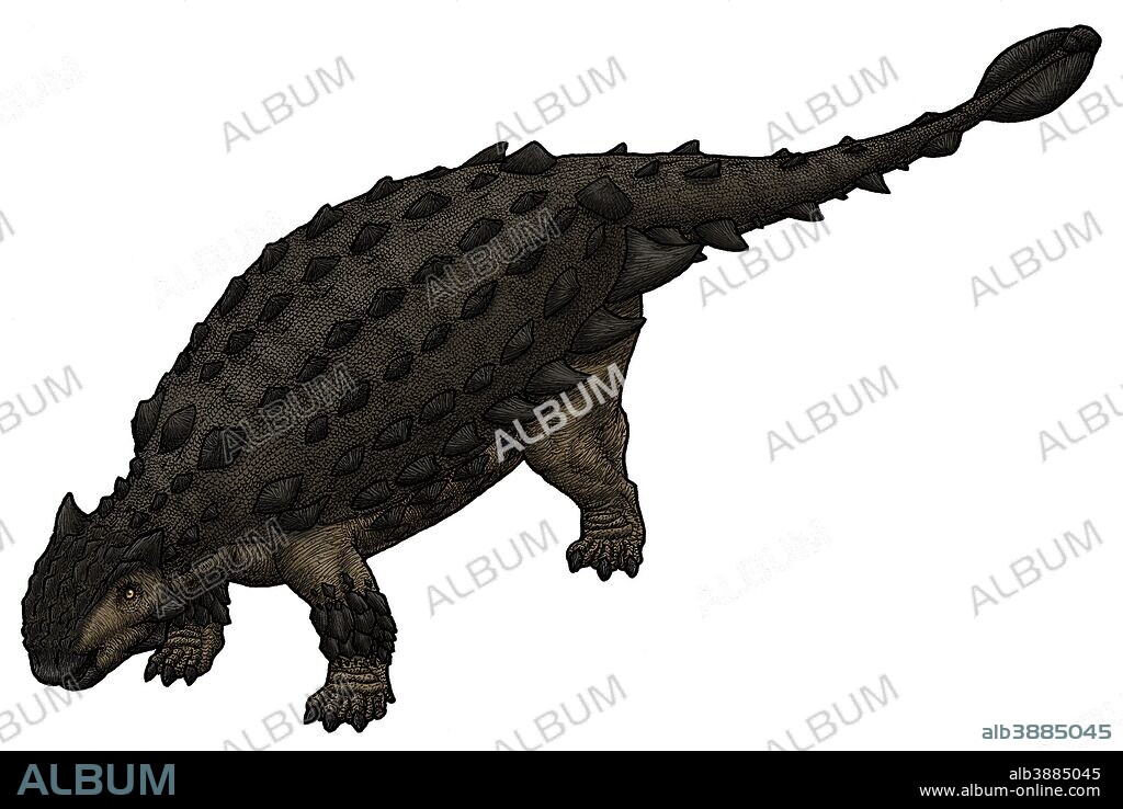 Saichania, a Mongolian ankylosaurid from the Late Cretaceous Period.