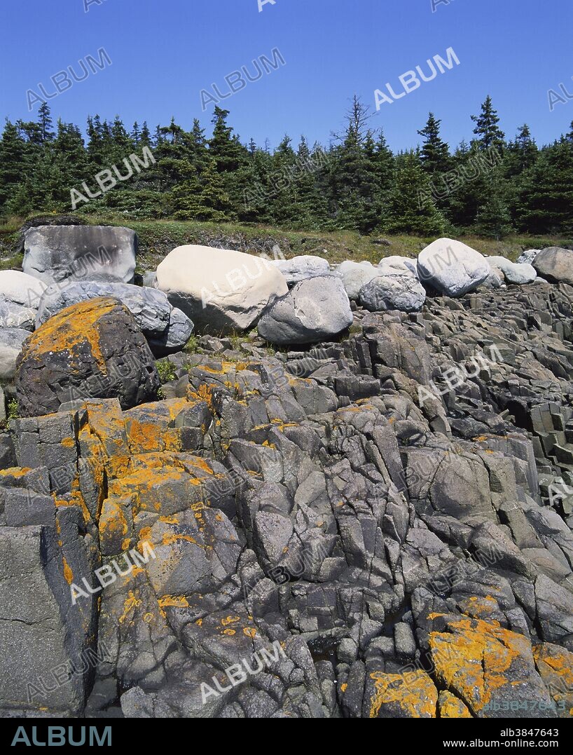 Glacial Erratics on Basalt