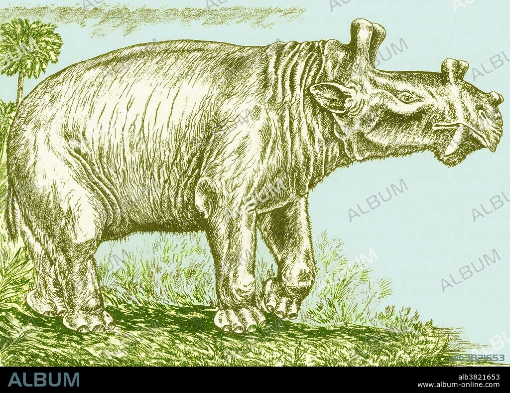 An illustration of the extinct dinocerate mammal Eobasileus cornutus "Crowned Dawn-King," from the middle to late Eocene.  Eobasileus was 4 metres (13 ft) long and stood 2.1 metres (6.9 ft) tall and had three blunt horns.