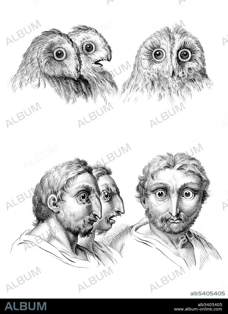 The goal of physiognomy is to judge character according to features of the face. Charles Le Brun (February 24, 1619 - February 12, 1690) was a French painter, art theorist, interior decorator and court painter to Louis XIV. Deeply influenced by the work of Descartes's Passions of the Soul (1649) Le Brun’s sketches of human faces (with anthropomorphic renderings of their animal inspirations) display the way in which he measured the various angles and spaces of the human face to relate them to the brain’s pineal gland (location of the soul according to Descartes). By observing these angles, Le Brun was able to discern personality traits from each of his figures.