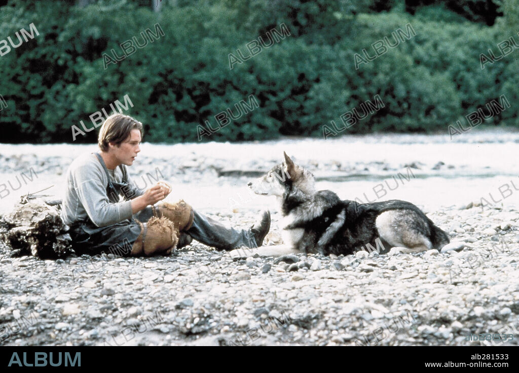 ETHAN HAWKE en COLMILLO BLANCO, 1991 (WHITE FANG), dirigida por RANDAL KLEISER. Copyright TOUCHSTONE PICTURES.