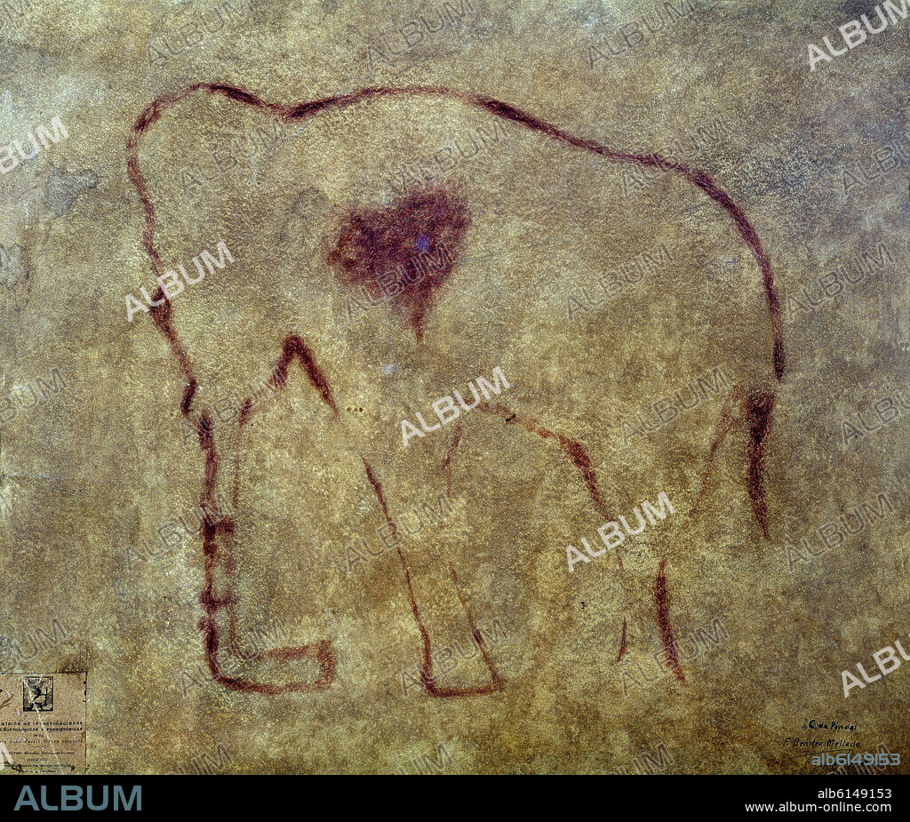 PINTURA RUPESTRE PROCEDENTE DE LA CUEVA DEL PINDAL - MAMUT HERIDO.