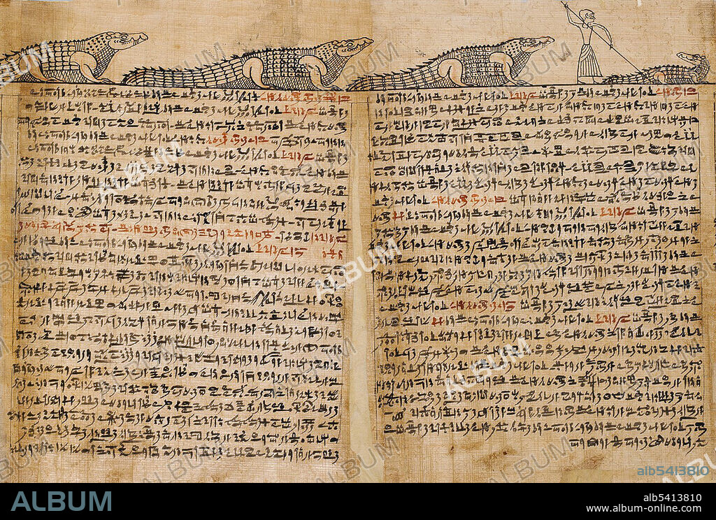 Papyrus inscribed for a priest of the god Horus named Imhotep. His coffin was found in 1913 at the cemetery of Meir, and this papyrus most likely comes from his burial. Imhotep's Book of Coming forth by Day, commonly known as a Book of the Dead, was designed to help Imhotep make a successful transition from death to eternal life, and to ensure his safety and well-being in the realm of the dead. Written in a cursive script known as hieratic and read from right to left, it is divided into 182 columns, each containing one or more spells, incantations, or prayers. A continuous frieze of vignettes along the top, as well as larger drawings filling the height of the papyrus, illustrate or substitute for individual spells. Early Ptolemaic Period, ca. 332–200 B.C.
