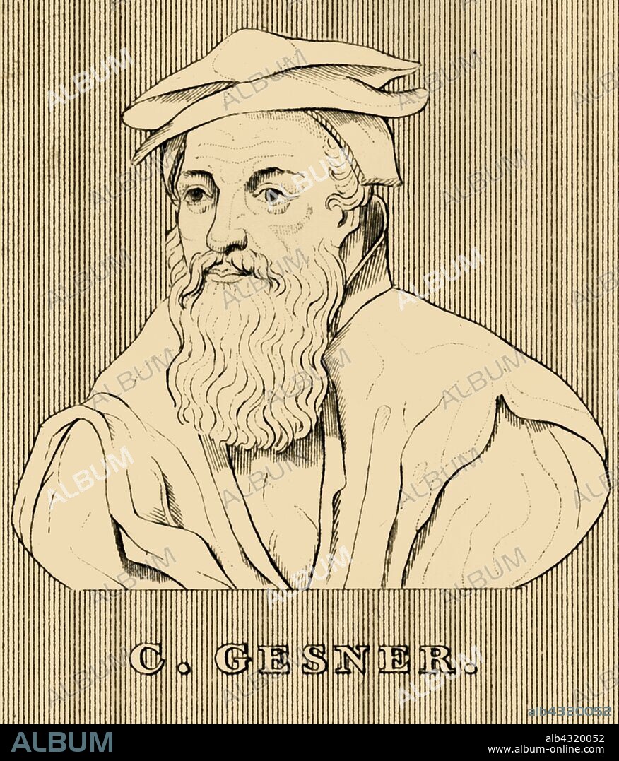 'C. Gesner', (1516-1565), 1830. Conrad Gessner (1516-1565) Swiss physician, naturalist, bibliographer, and philologist who became Zurich's City Physician, regarded as the father of modern scientific bibliography, zoology and botany. From "Biographical Illustrations", by Alfred Howard. [Thomas Tegg, R. Griffin and Co., J. Cumming, London, Glasgow and Dublin, 1830].