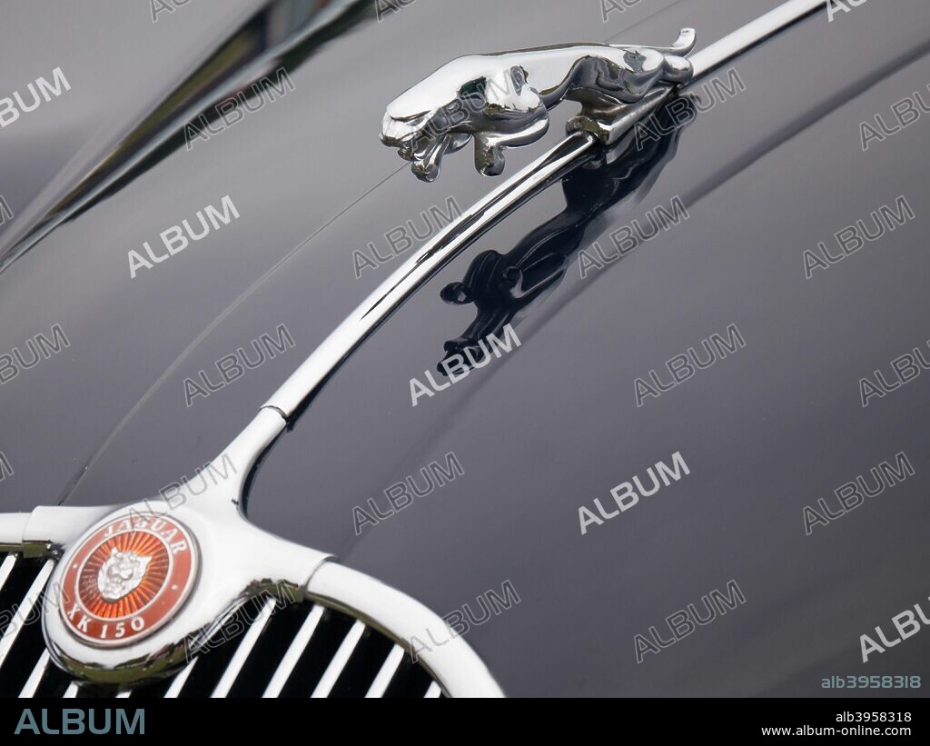 Leaping cat mascot on Jaguar XK150.