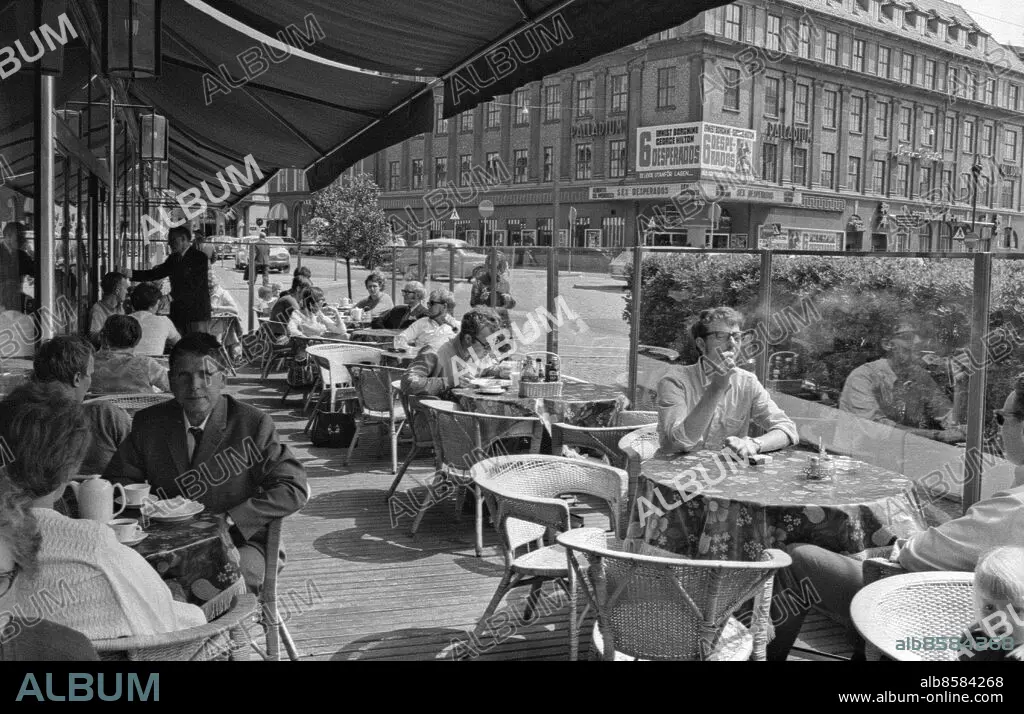 Sarkma kokraklar yosh