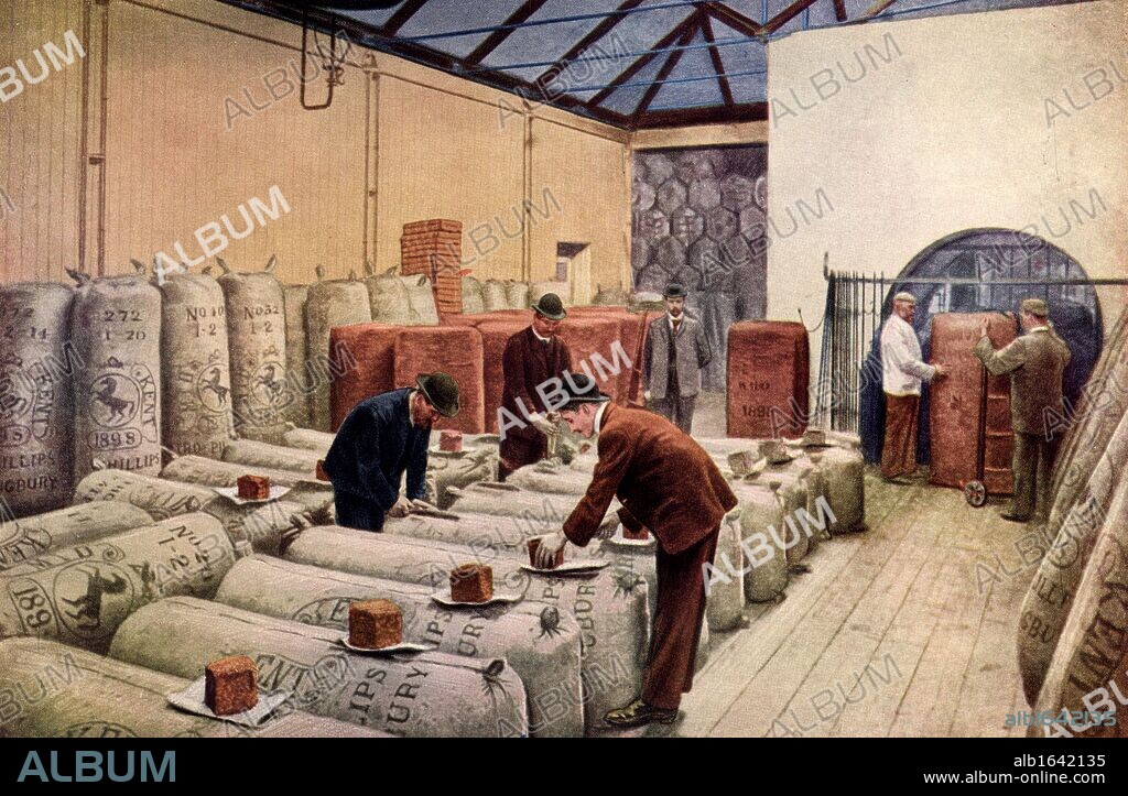 Hop-sampling warehouse, Arthur Guinness, Son & Co., Ltd., Dublin, Ireland. Both American hops and those grown in Kent, England, were used. From "The Practical Grocer" (London, 1905). (Photo by: Universal History Archive/UIG via Getty Images).