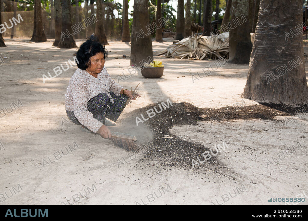 Not to be used in a negative context . In Cambodia farmers attract bats to artificial roosts, collect their droppings, and sell the guano for fertilizer. Each roost consists of 10 bundles of dried palm fronds, each consisting of five fronds wired together and hoisted, one bundle at a time, to the top of a palm tree. One farmer reported earning nearly $900 US per year per roost, that farmer relying on 10 roosts for extra income. Woman collects three days worth of fallen guano beneath a roost.