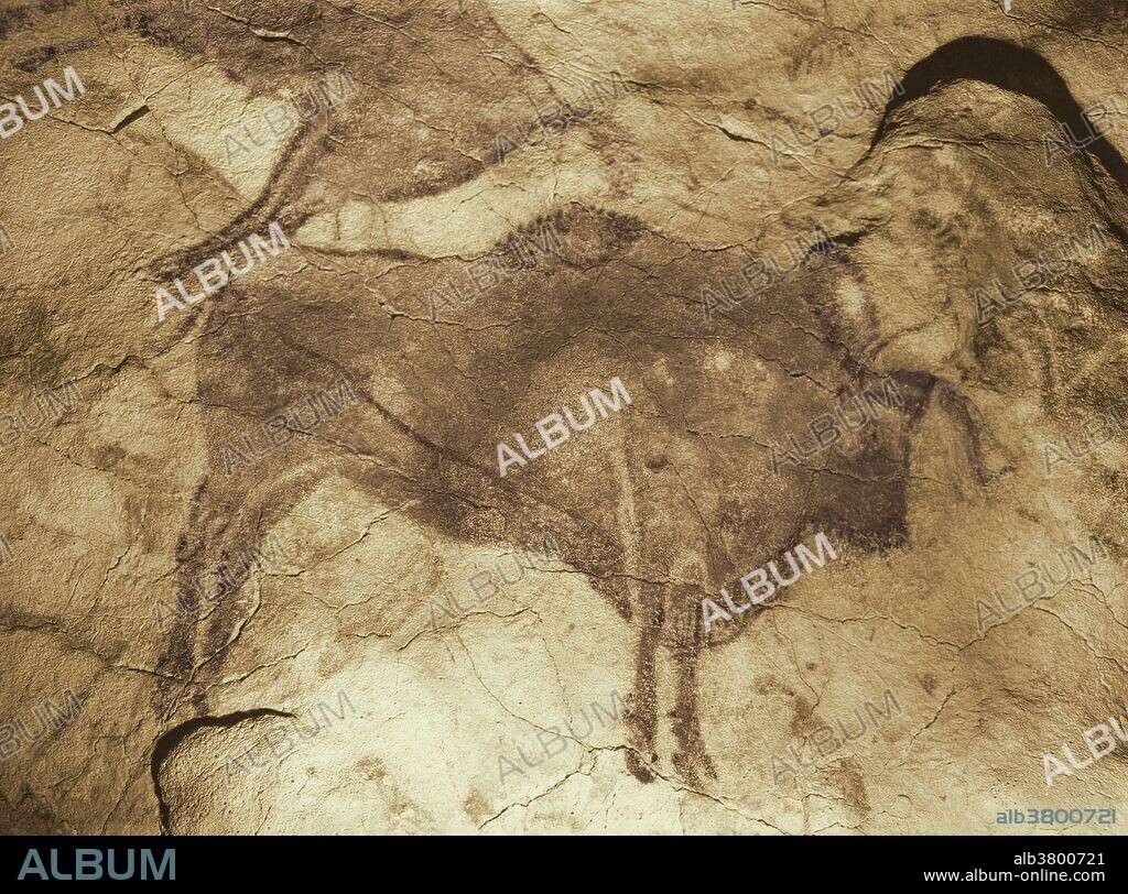 Prehistoric cave paintings in Altamira, Spain. The paintings in the palaeolithic caves were discovered in 1868 by hunter, Modesto Peres.