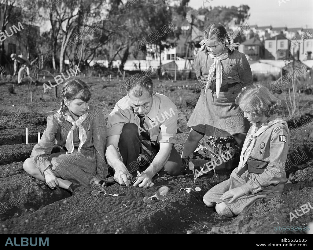 Harry Nelson helping his Girl Scout daughter Pat Nelson and friends Doris Laclair and Barbara Redford plant a Victory Garden during nation-wide Food for Victory Campaign, San Francisco, California, USA, Ann Rosener, U.S. Office of War Information/U.S. Farm Security Administration, February 1943.