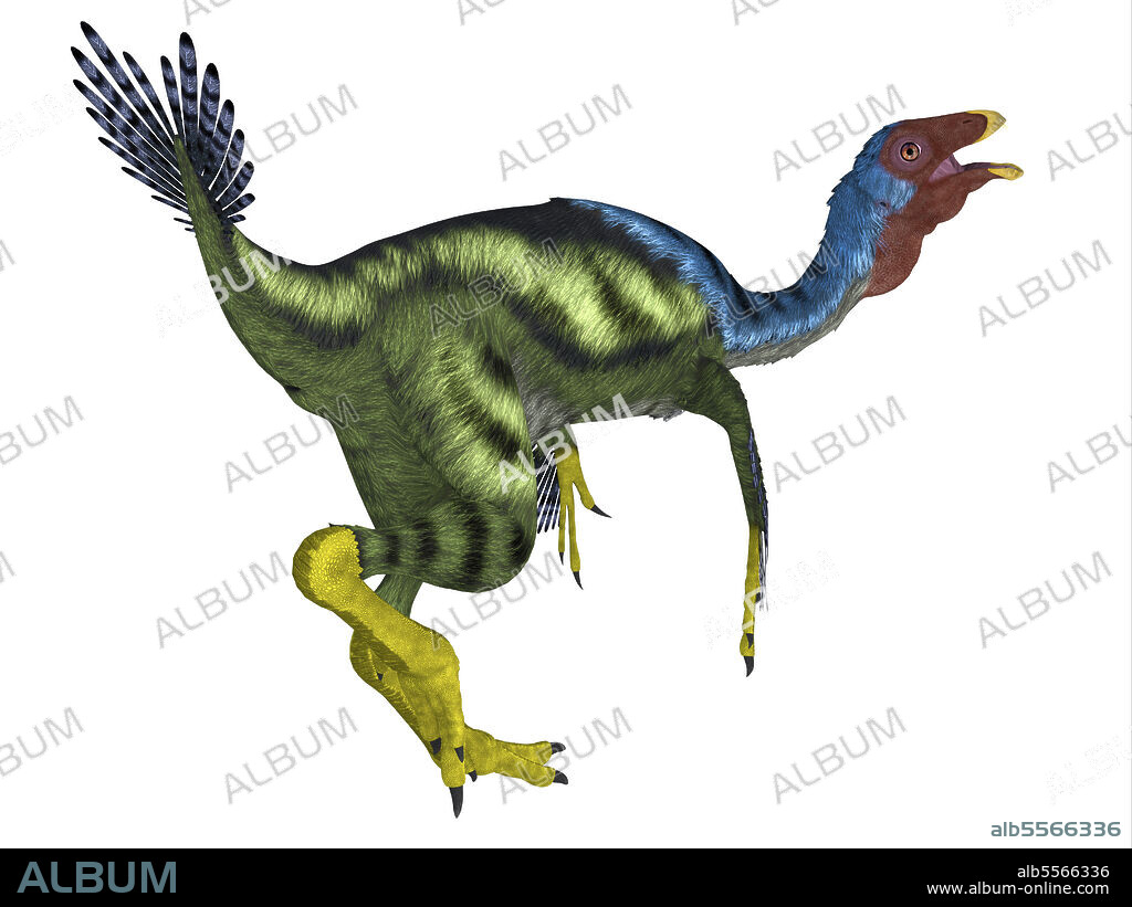 Caudipteryx dinosaur, white background. Caudipteryx was an oviraptor beaked carnivorous dinosaur that lived in China in the Cretaceous Period.