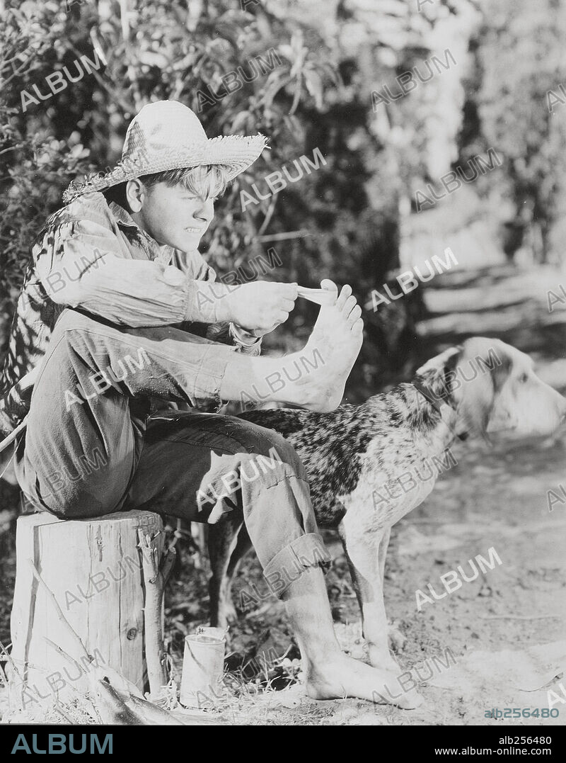 BAND AID and MICKEY ROONEY. MICKEY ROONEY in THE ADVENTURES OF HUCKLEBERRY FINN, 1939, directed by RICHARD THORPE. Copyright M.G.M.