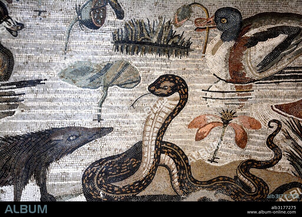 Mosaic from the House of the Faun depicting a Nilotic scene. Such scenes were influenced by the famous Nile mosaic at Palestrina (Praeneste). Country of Origin: Italy. Culture: Roman. Period/ Date: c 100 BC. Credit Line: Werner Forman Archive/ N.J. Saunders, National Archaeological Museum, Naples.