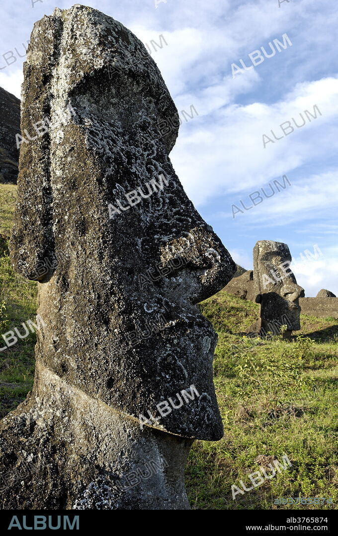 Moai in the Rano Raraku volcanic crater formed of consolidated ash (tuf), Easter Island, UNESCO World Heritage Site, Chile, South America.